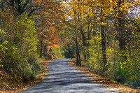 NRV Scenics